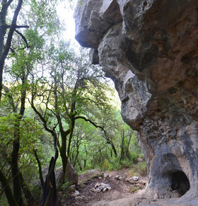 Photo de la sainte baume