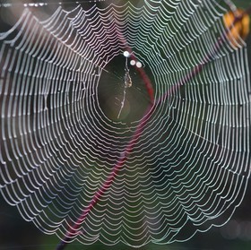Photo de la sainte baume