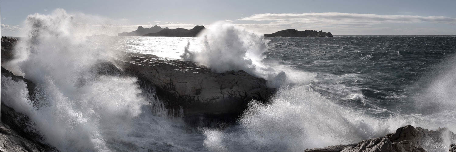 Selection format 20X60 cm