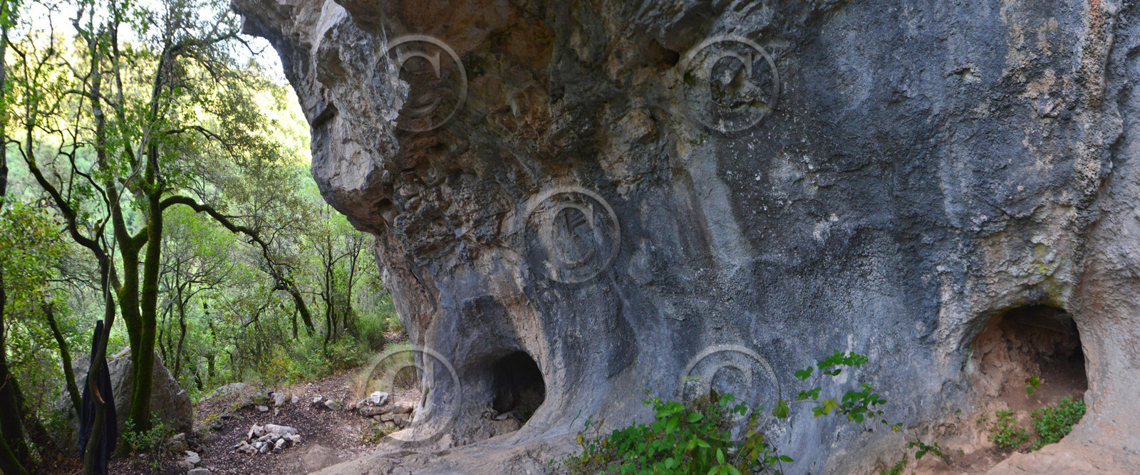 Photo de la sainte baume