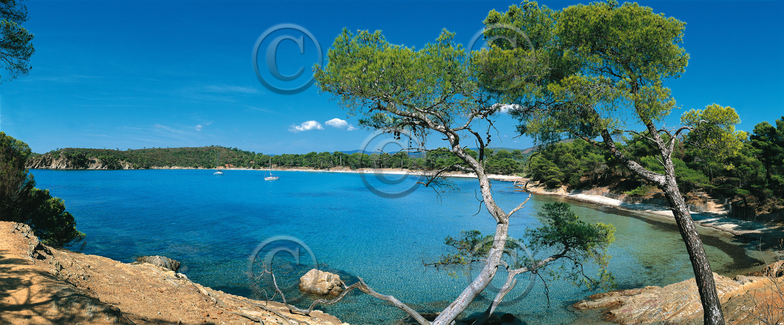CALANQUE AU LAVANDOU 120X50CMCalanques Provence MarseilleFORMAT DISPONIBLE  120X52CMpas de telechargement disponible.A chaque format correspond une éditions limitée spécifique .© collection P GUZIKA titre indicatif suivant la finition, tarif encadré vente direct:DISPONIBLE SUIVANT STOCK -  CRÉATION JOURNALIERE  -
