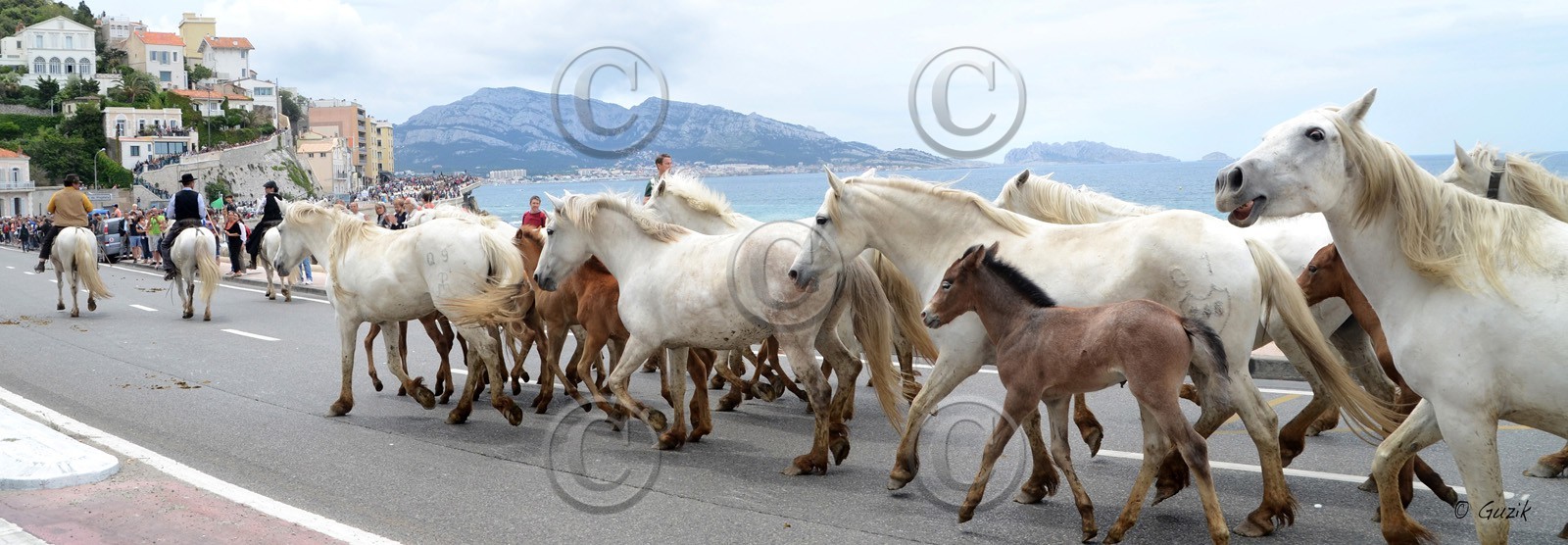 CHEVAUX CAMARGUAIS SUR LA CORNICHE, PLAGE DU PHOPHETE Marseille Provence photo panoramique couleurFORMAT DISPONIBLE   33X95cm ( et 20X60cm en vente direct uniquement )pas de telechargement disponible.A chaque format correspond une éditions limitée spécifique .© collection P GUZIKA titre indicatif suivant la finition, tarif encadré vente direct:33   x 95 cm   99€20   x 60 cm   39€disponible en  30 X10 cm  sur stand en vente directDISPONIBLE SUIVANT STOCK -  CRÉATION JOURNALIERE  -