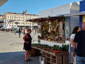 2023 l'année derniere sur le Vieux Port  de Marseille