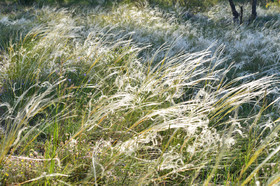 Photo de la sainte baume