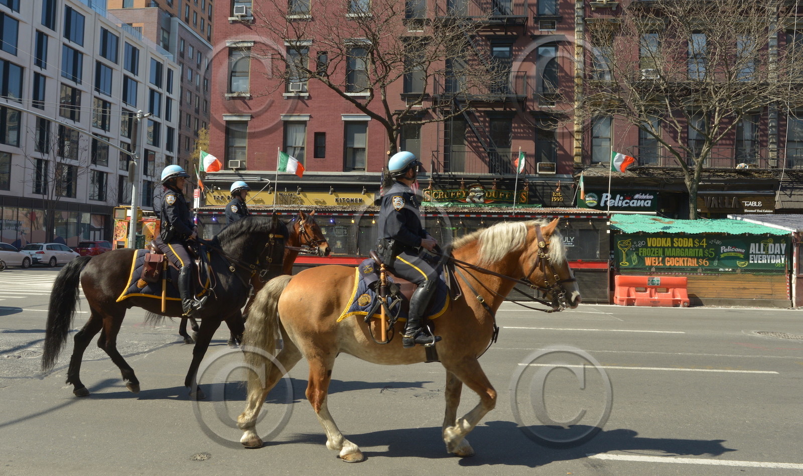 un printemps à new york