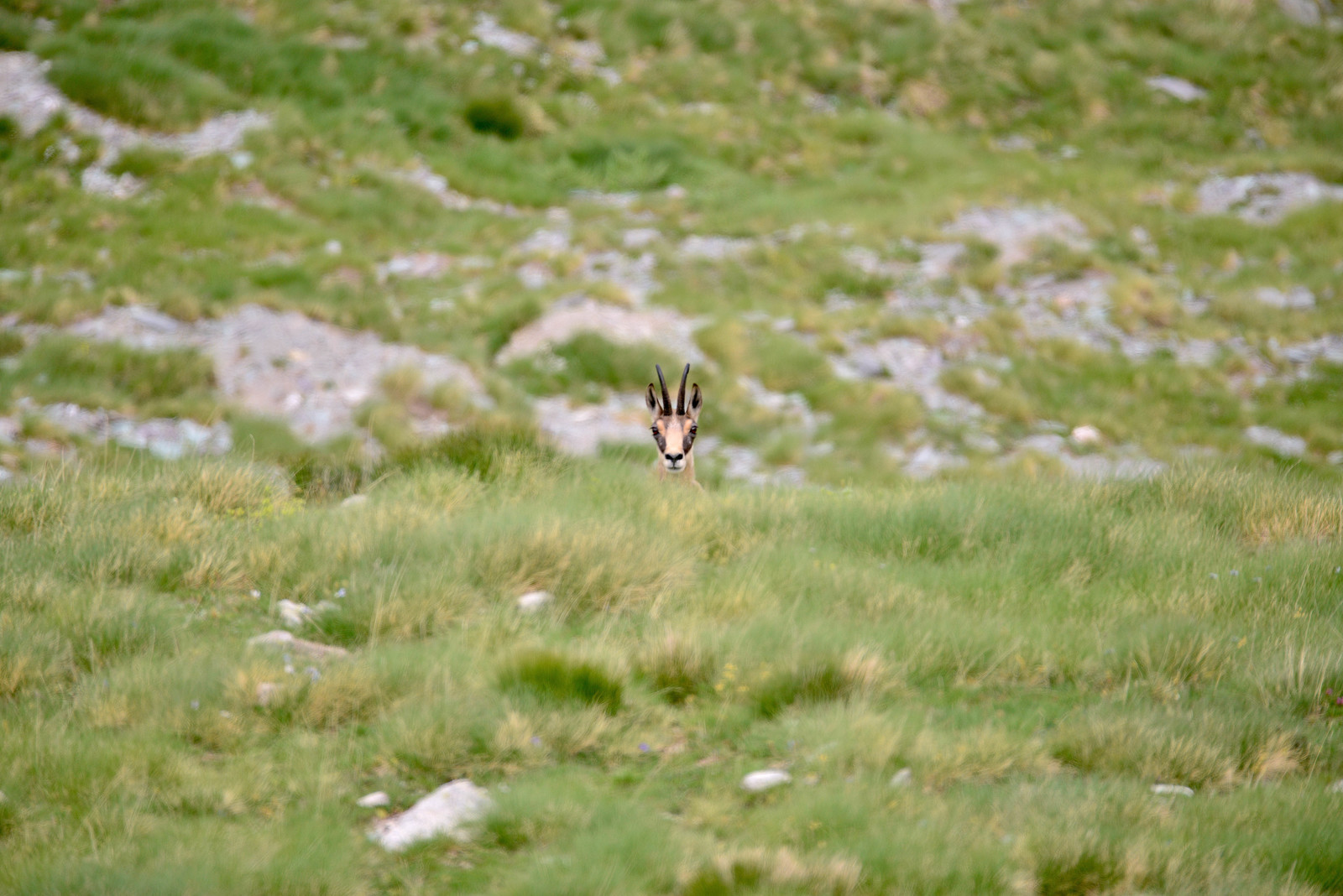 MISE A  JOUR  en cours