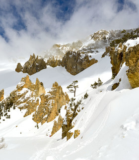 ALPES DE HAUTE PROVENCE