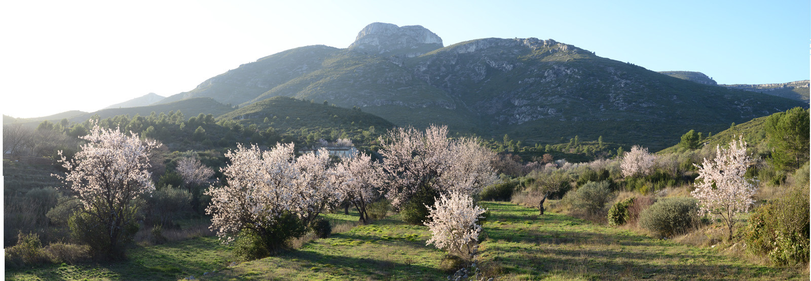Photo de la sainte baume