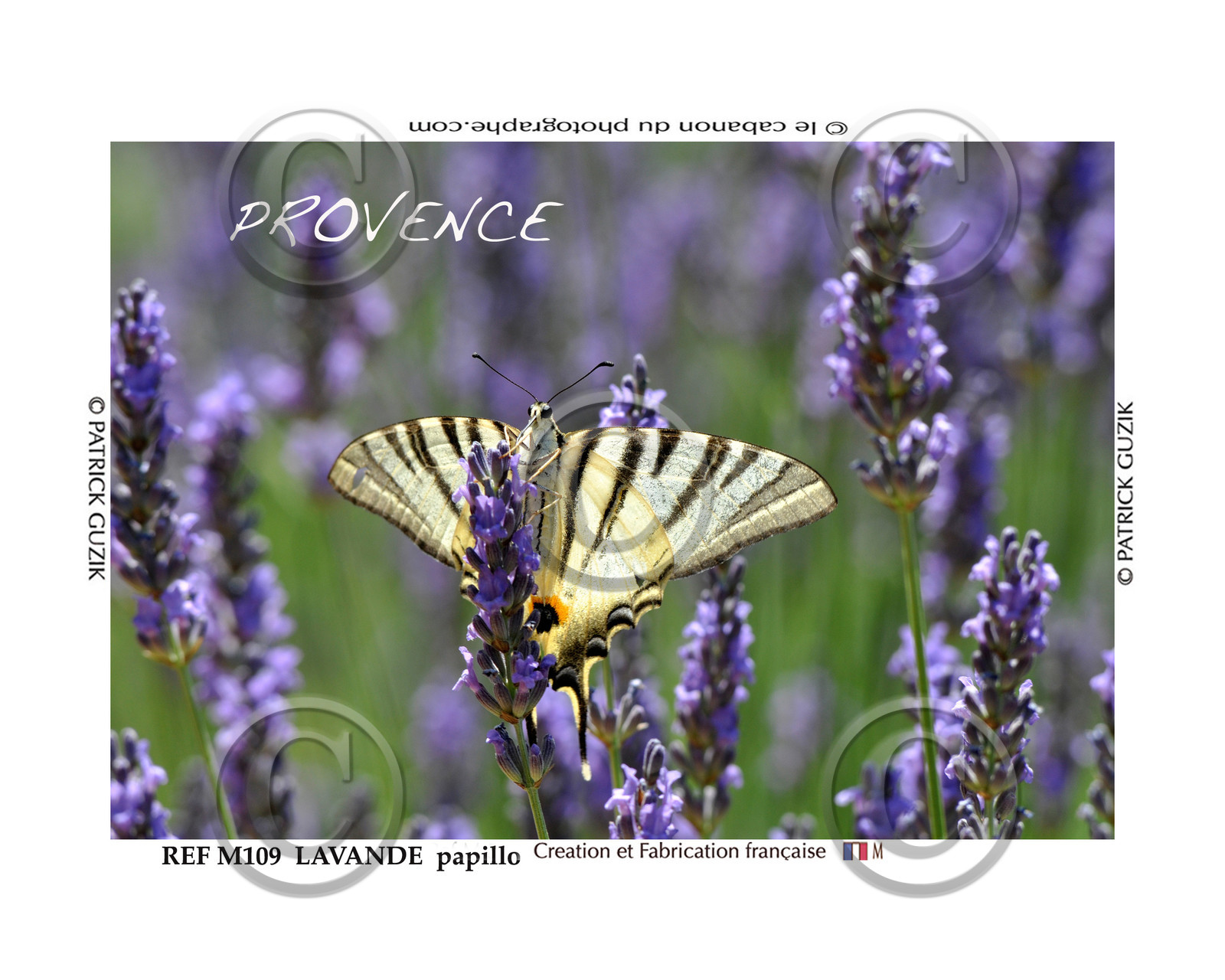 REF M109. lavande et papillon Flambé. 8054.jpg