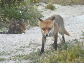 mon assistant qui n'a peur de rien