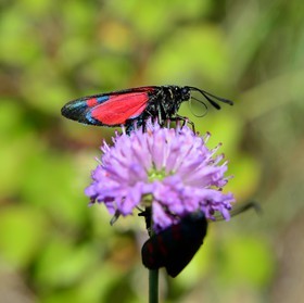 Photo de la sainte baume