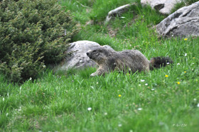 MISE A  JOUR  en cours