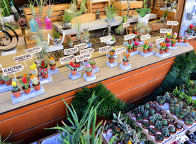 MARCHÉ DE NOEL DE MARSEILLE  ( photos des precedents marchés ),