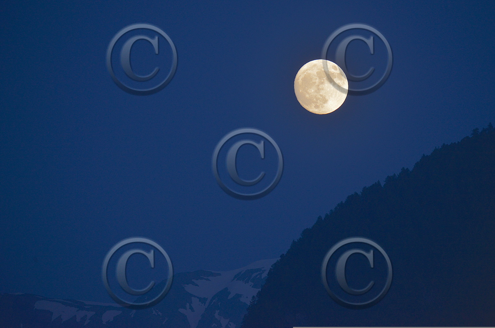 DANS LES ALPES DU SUD  , LE QUEYRAS