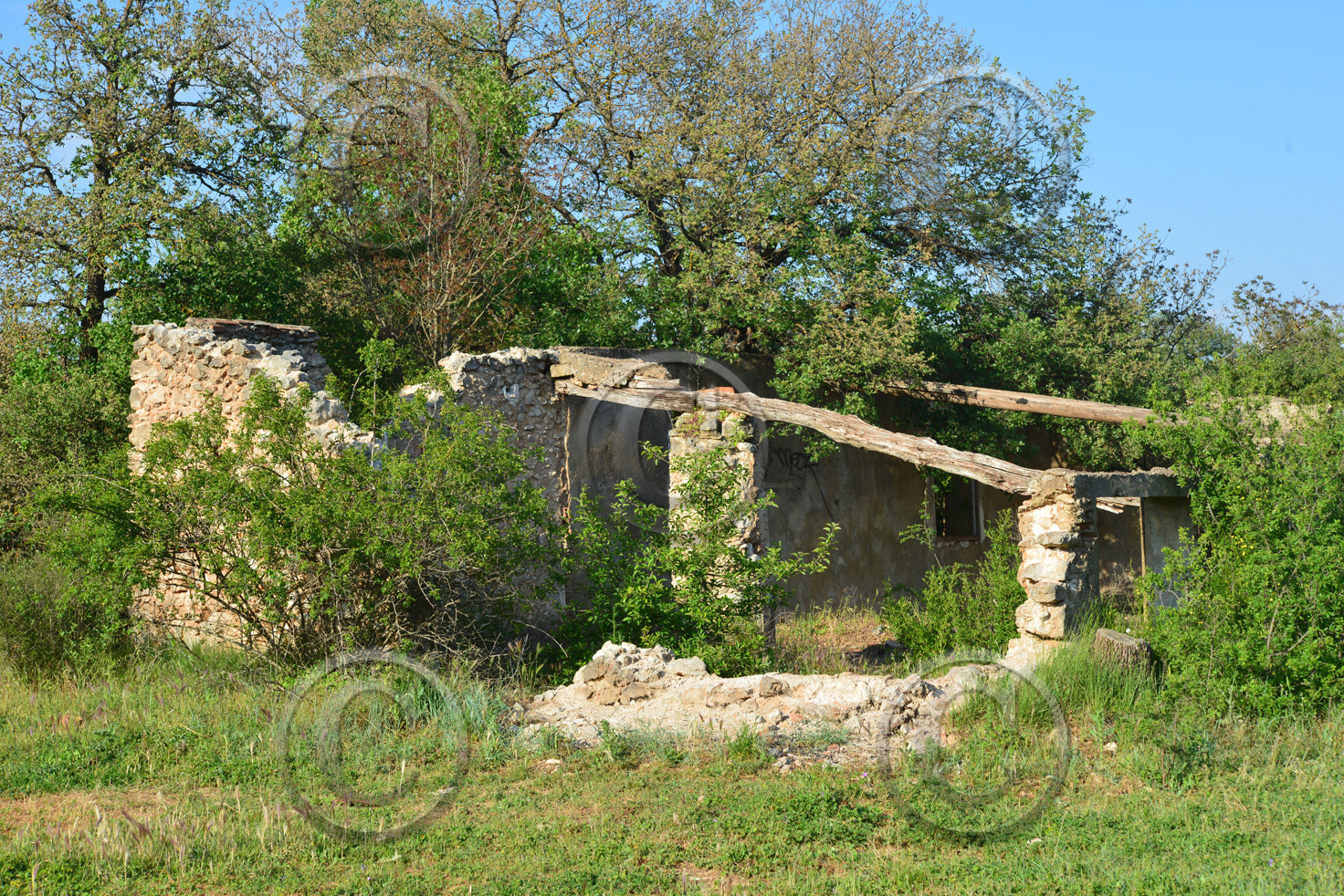 Photo de la sainte baume