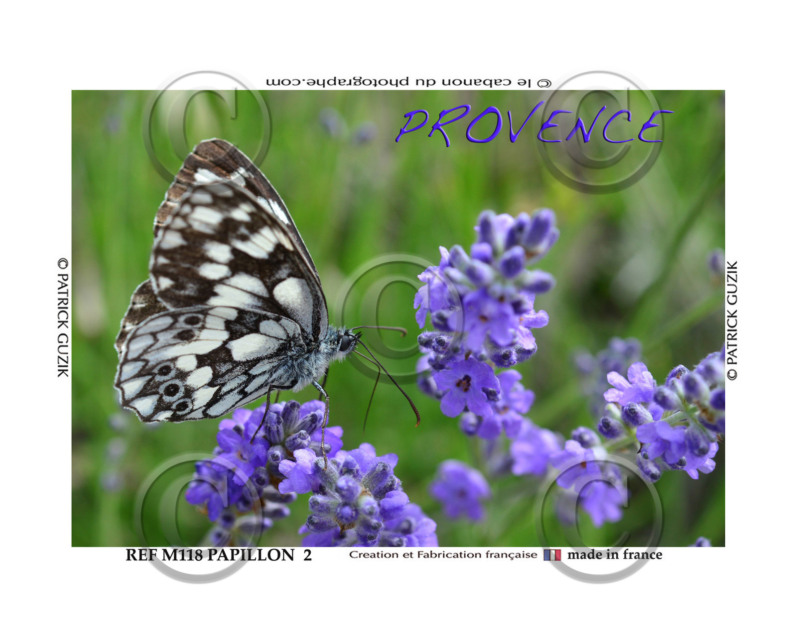 REF M118- Lavande et papillon demi-2-2025-8054.jpg