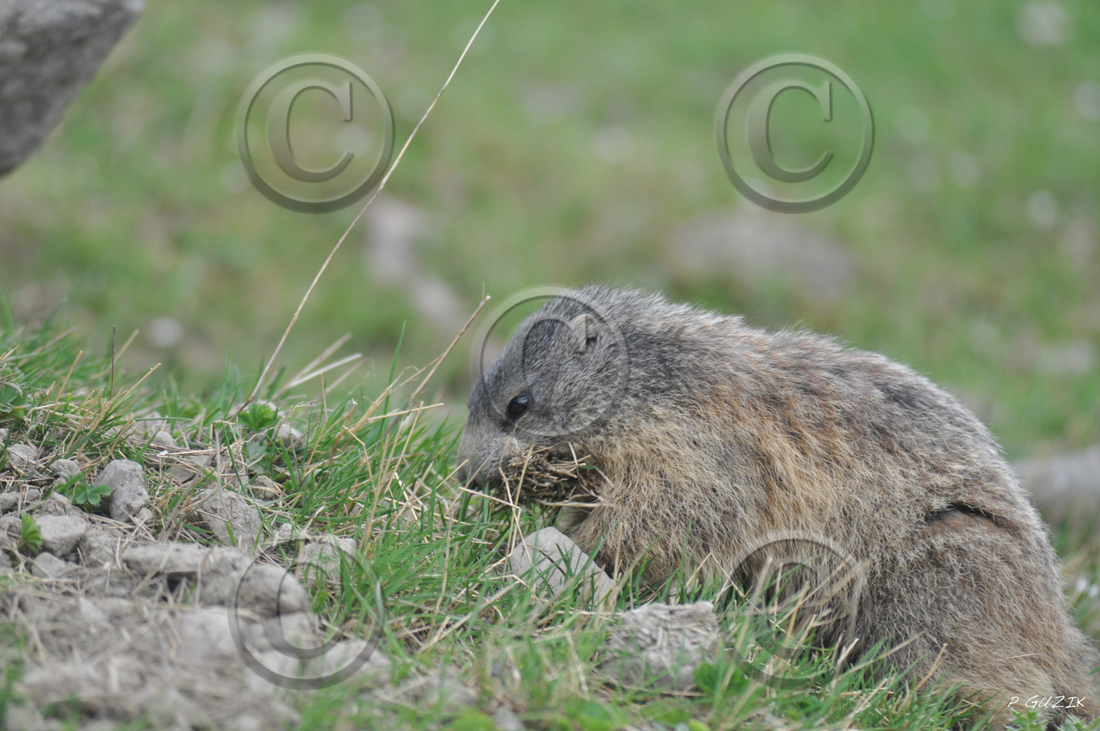 MISE A  JOUR  en cours