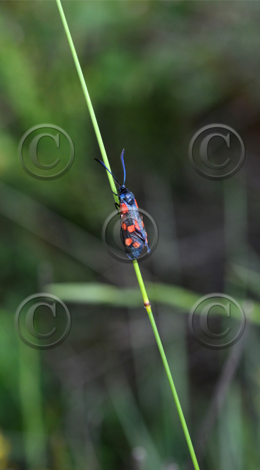 Photo de la sainte baume