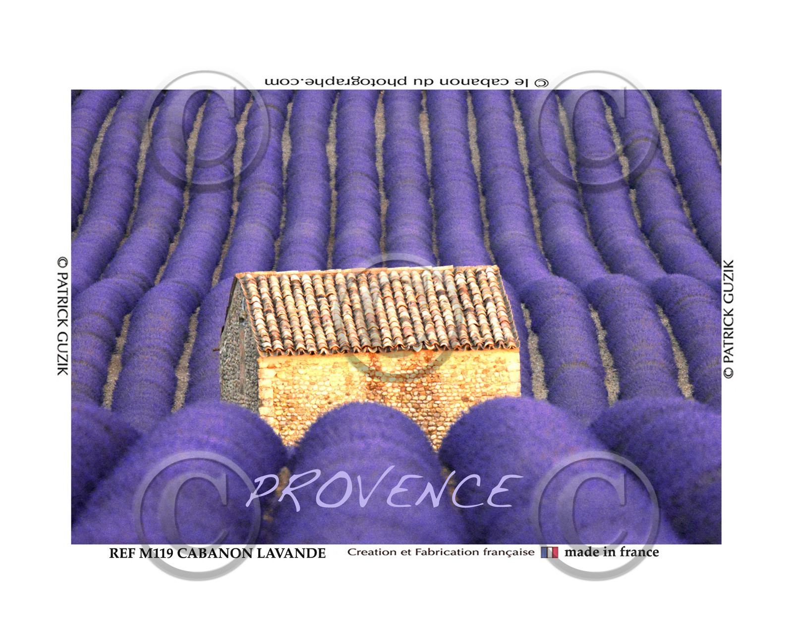 REF M119-Provence cabanon dans la lavande. -8054.jpg