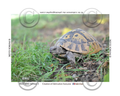 COLLECTION MAGNETIQUE&nbsp;MAGNET MARSEILLE et CALANQUE ,PROVENCE&nbsp; ........