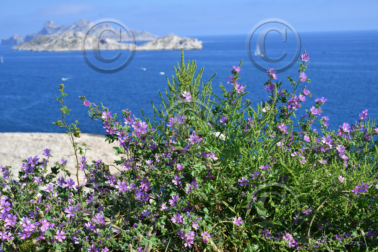 MISE A  JOUR  en cours