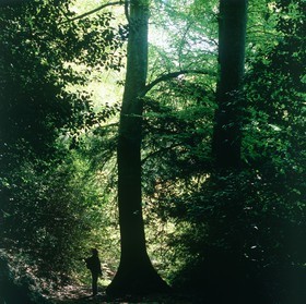 Photo de la sainte baume