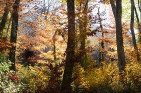 Photo de la sainte baume