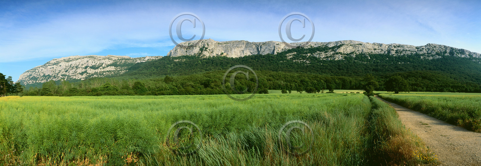 Photo de la sainte baume