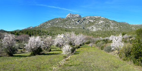 site-ref-2022-1-panorama-50x100-le-garlaban-6-jour2.jpg