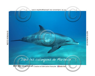 REF M62-Dauphin calanques.  8054.psd