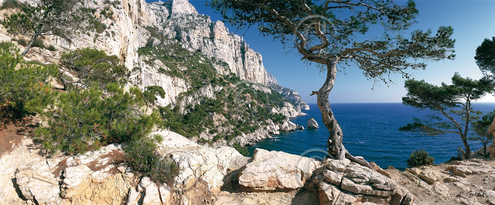 PIN DE SUGITON  Calanques Provence Marseille photo couleurA chaque format correspond une éditions limitée spécifique .© collection P GUZIK CRÉATION JOURNALIERE  -