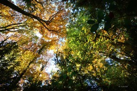 Photo de la sainte baume