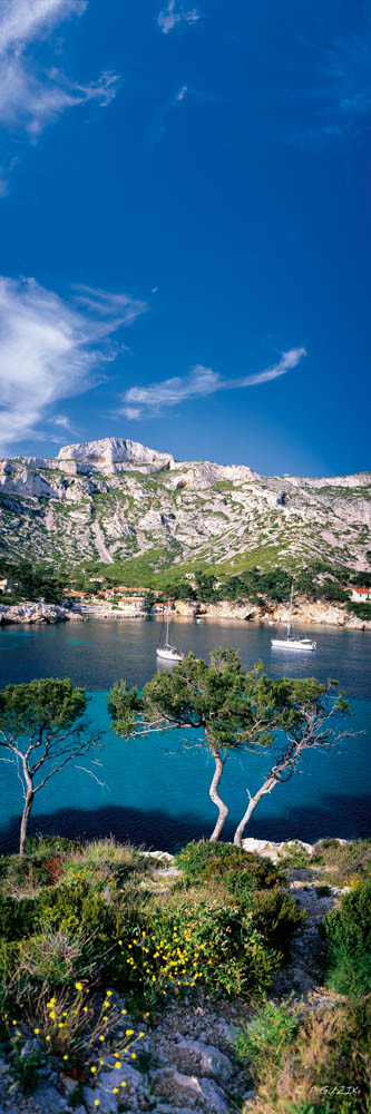 Selection format 20X60 cm