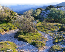 Photo de la sainte baume