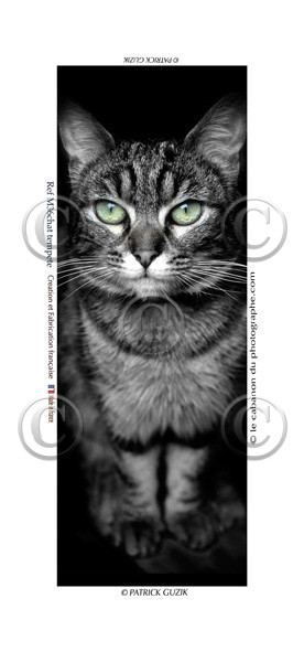 COLLECTION MAGNETIQUE&nbsp;MAGNET MARSEILLE et CALANQUE ,PROVENCE&nbsp; ........