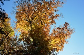 Photo de la sainte baume