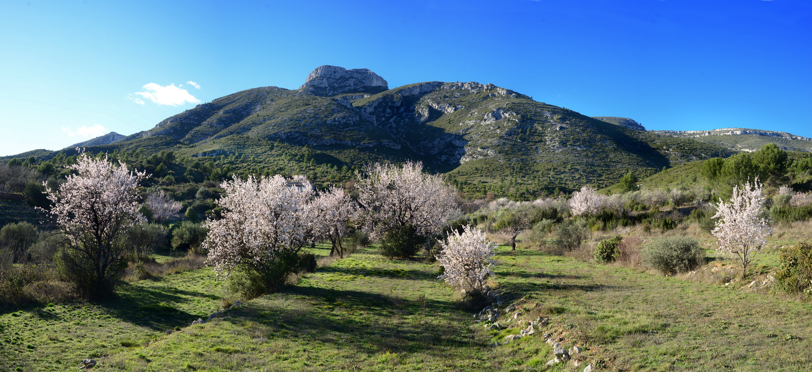 Photo de la sainte baume