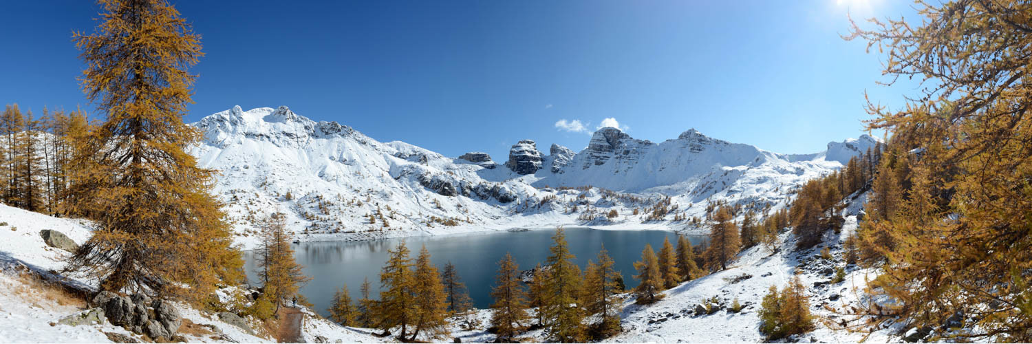 Selection format 20X60 cm