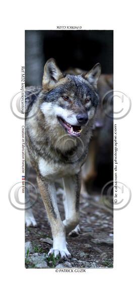 COLLECTION MAGNETIQUE&nbsp;MAGNET MARSEILLE et CALANQUE ,PROVENCE&nbsp; ........