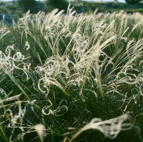 Photo de la sainte baume