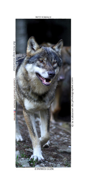 COLLECTION MAGNETIQUE&nbsp;MAGNET MARSEILLE et CALANQUE ,PROVENCE&nbsp; ........