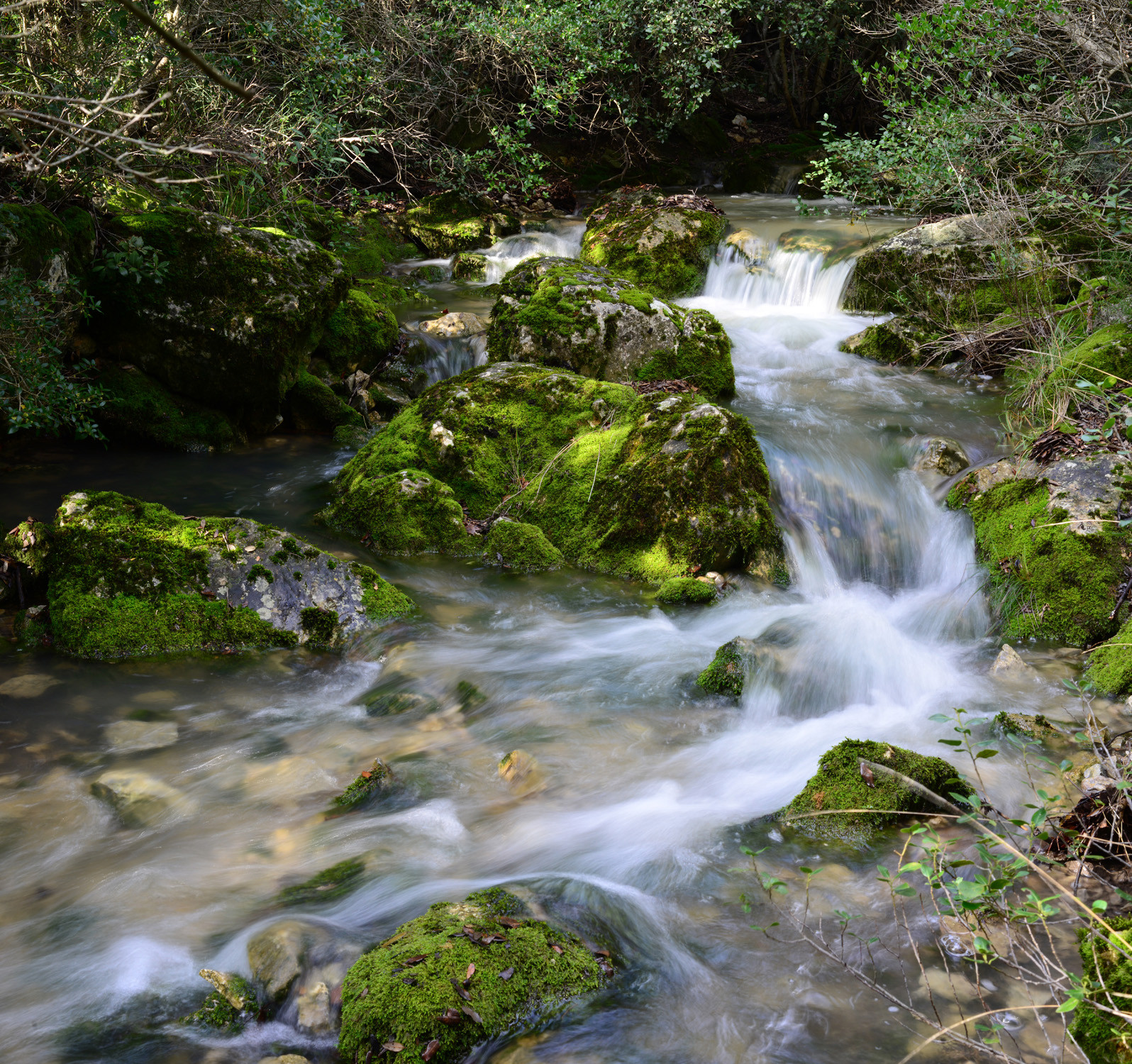 Photo de la sainte baume
