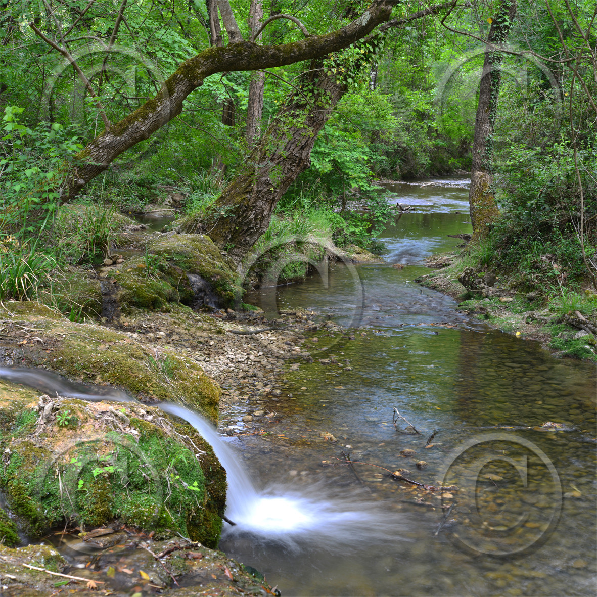 Photo de la sainte baume