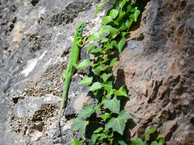 MISE A  JOUR  en cours