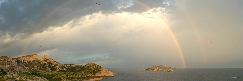 Selection format 20X60 cm