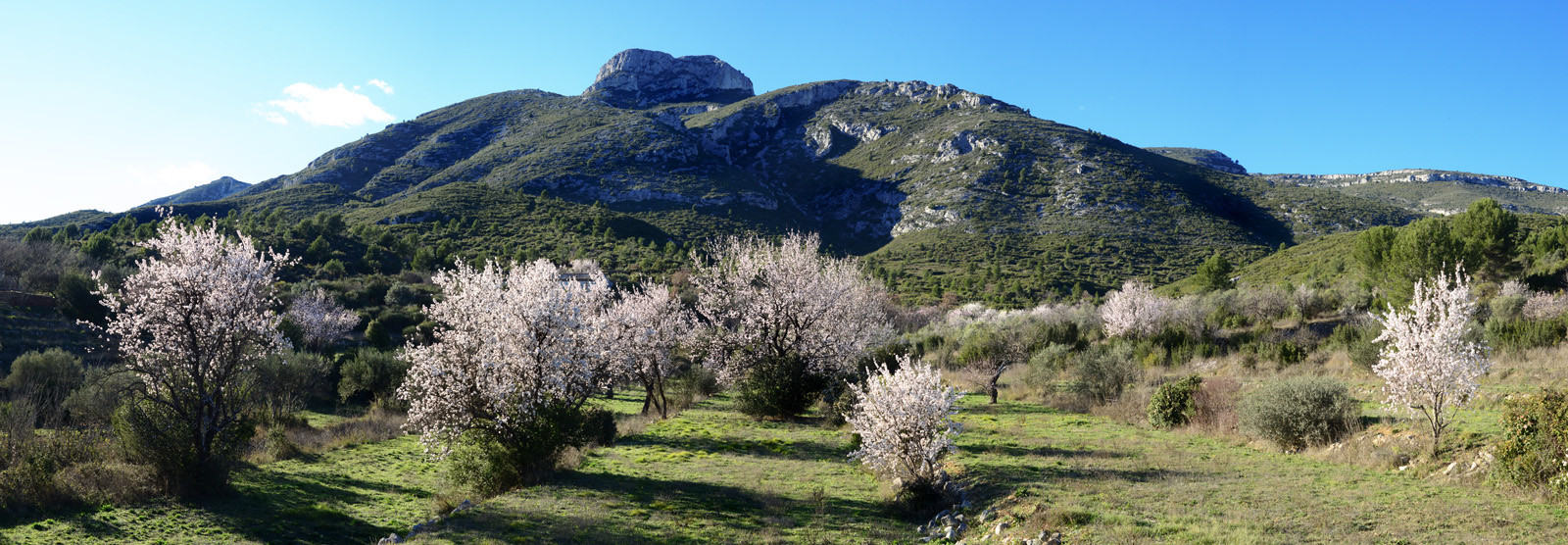 Photo de la sainte baume