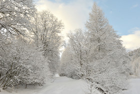 ALPES DE HAUTE PROVENCE