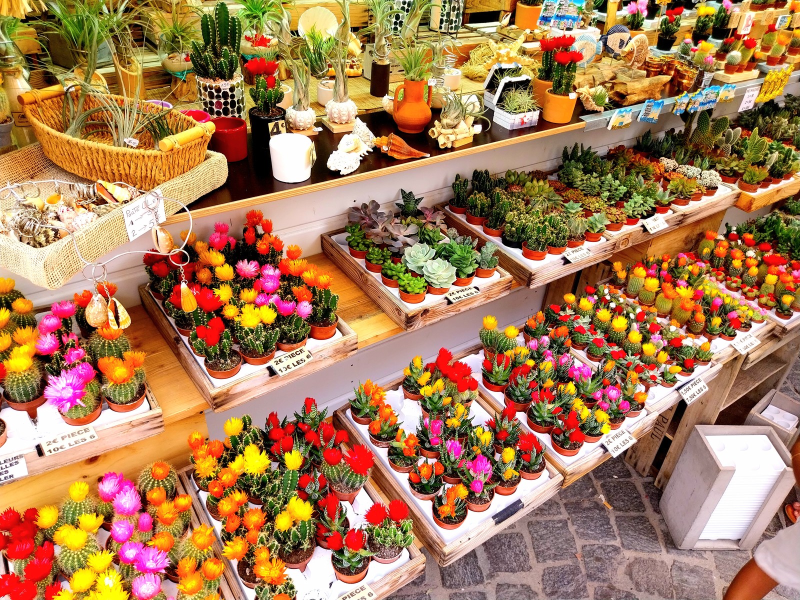 À MARSEILLE,  MARCHÉ D'ÉTÉ SUR LA CANEBIÉRE ,   TOUS LES JOURS  JUILLET & AOUT  2024  DE 11H À 23H