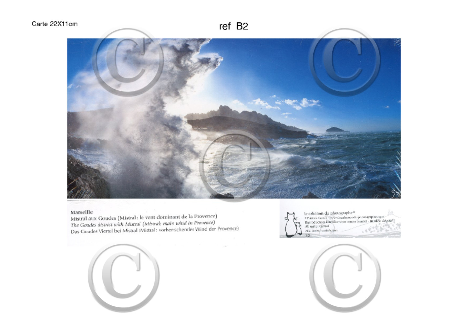 REF B2   (presque  épuisé actuellement  )   CARTES POSTALES - Collection - B -       VAGUE AUX GOUDES