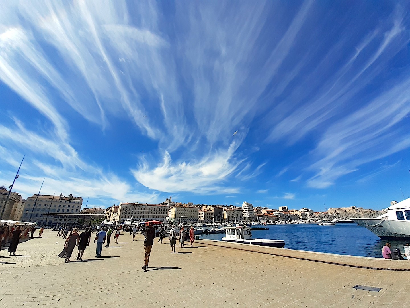LE MARCHE D'ETE SUR LE VIEUX PORTE DE MARSEILLE